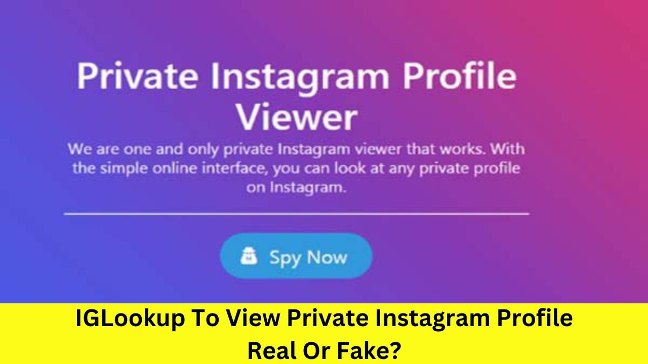 IGLookup To View Private Instagram Profile Real Or Fake?